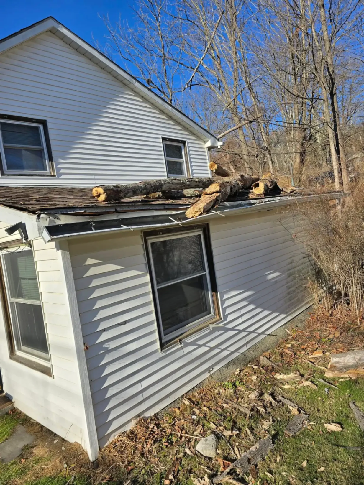 Emergency tree fallen on house roof