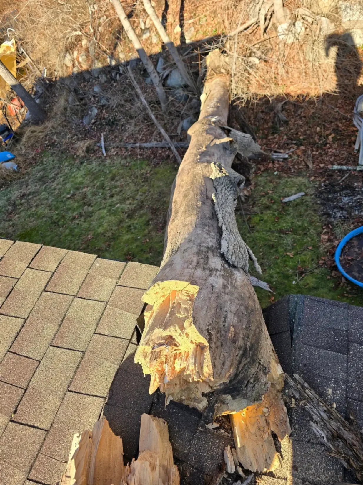 Emergency Tree Service in Ulster County NY