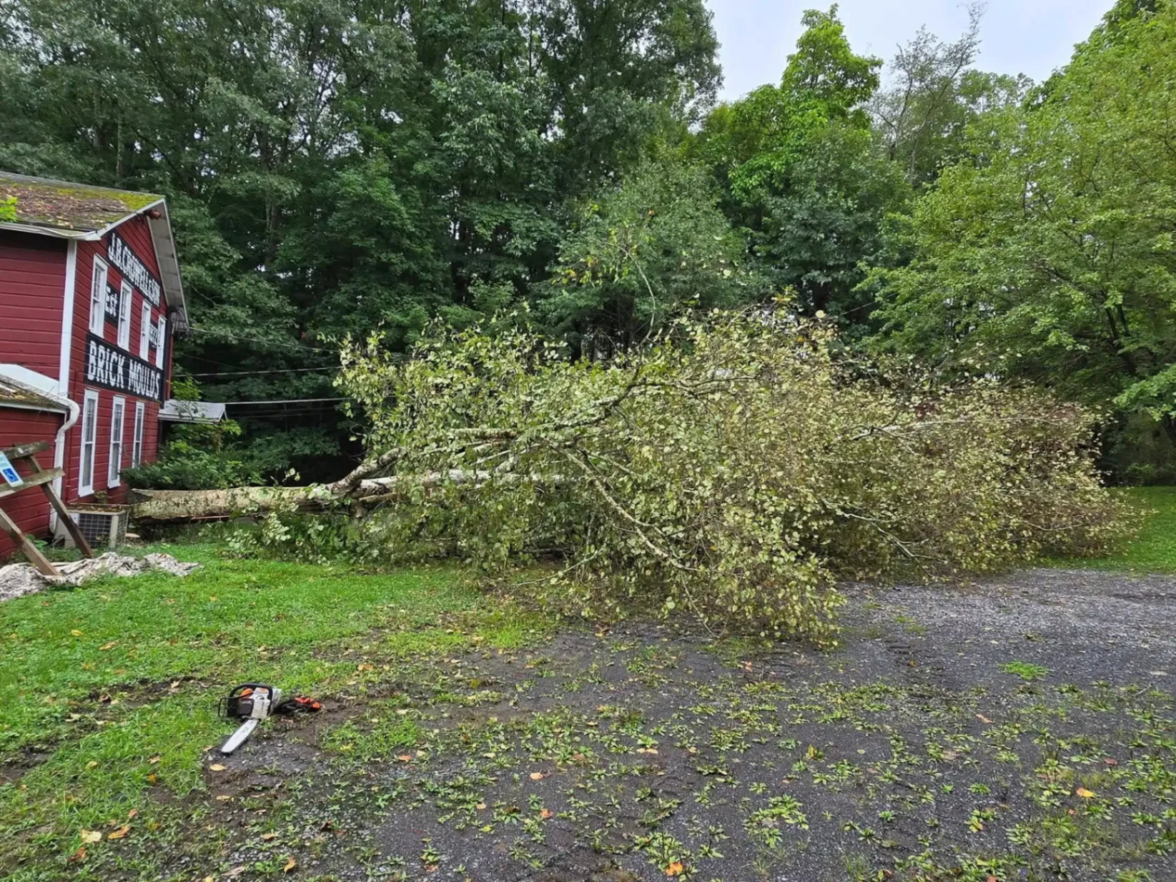 Storm damage emergency tree fallen on property
