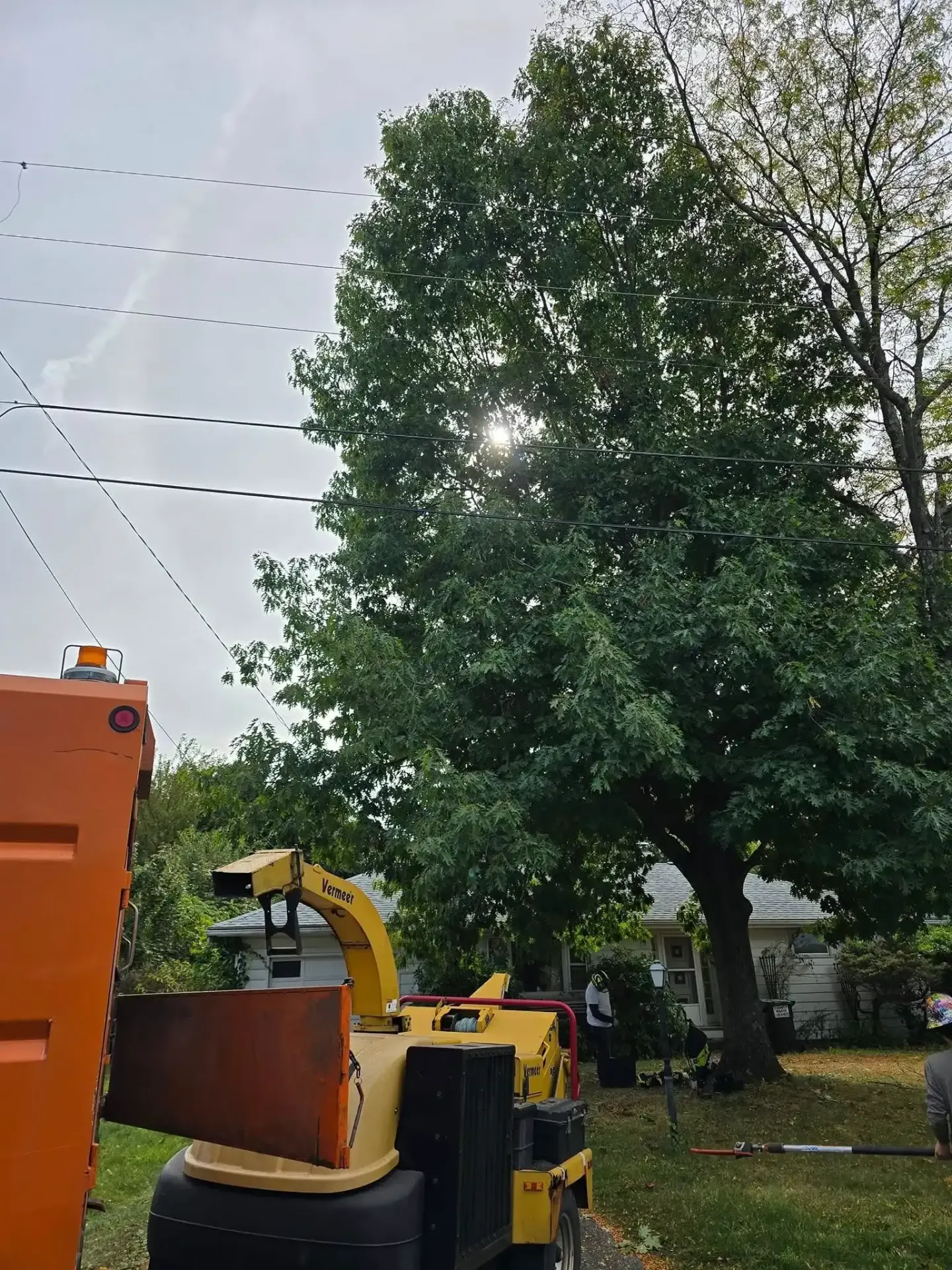 Tree trimming equipment and wood chipper