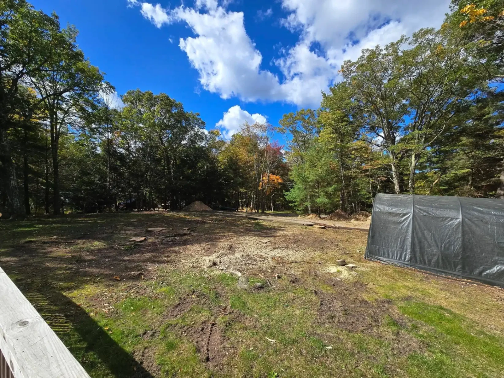 Completed land clearing project