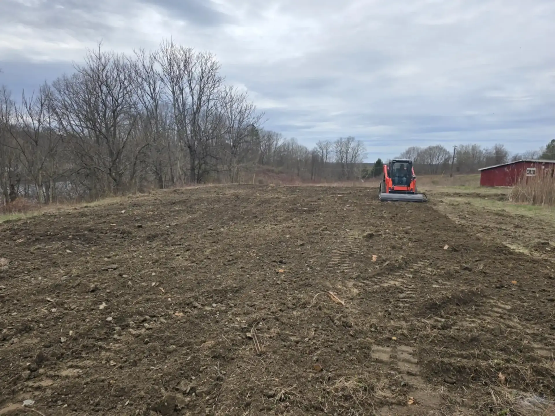 Professional land clearing with skid steer