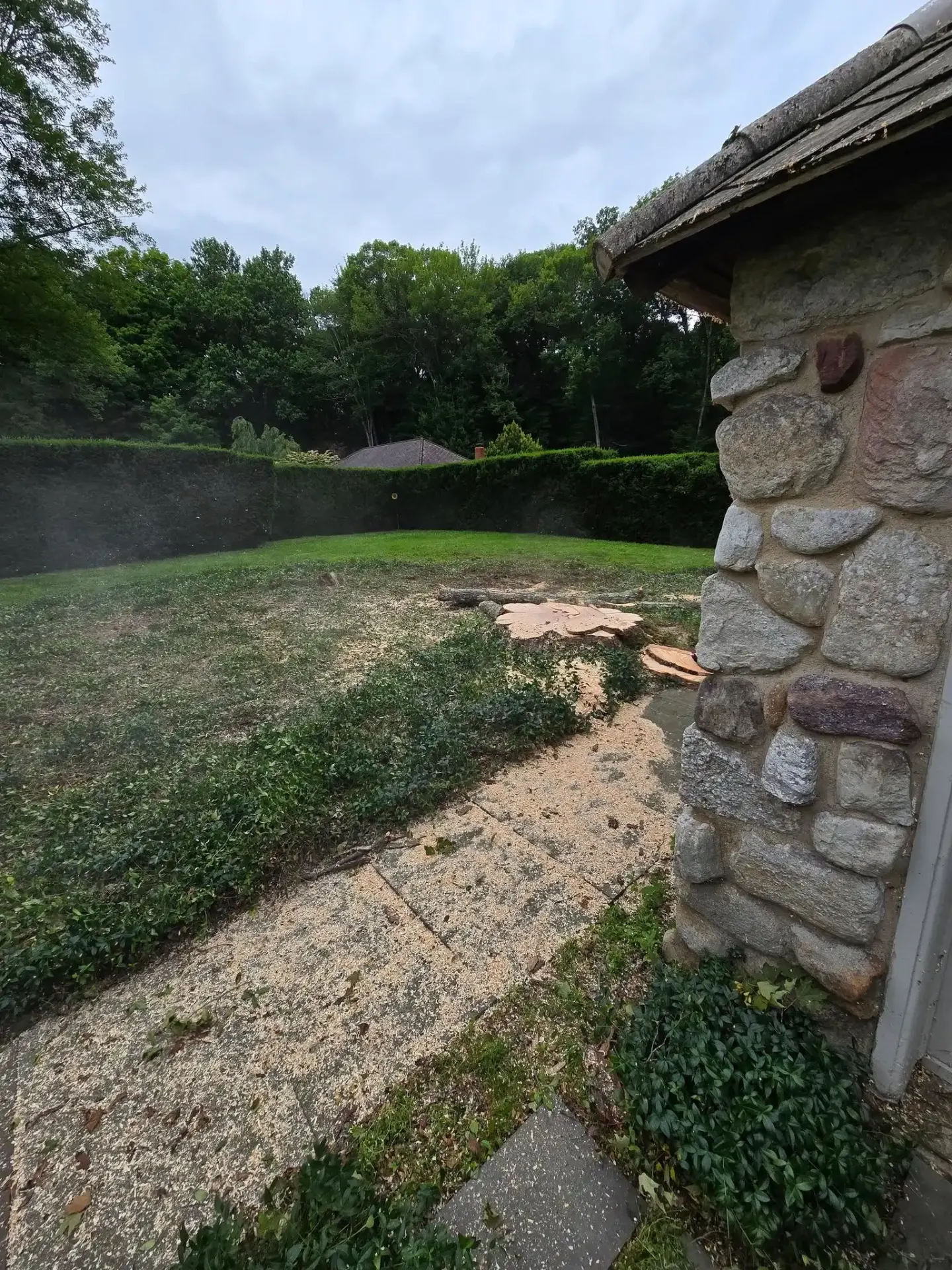 Tree Removal service in Ulster County NY