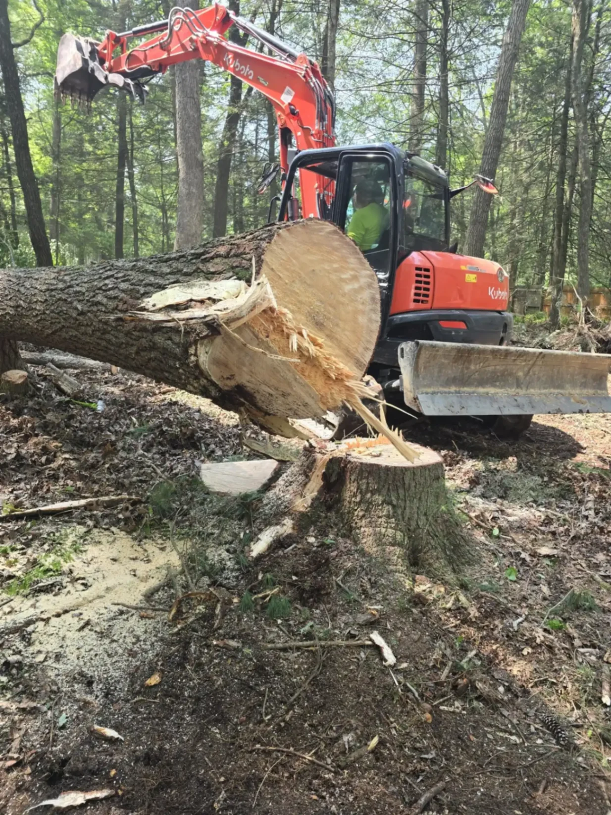 Heavy equipment for tree removal