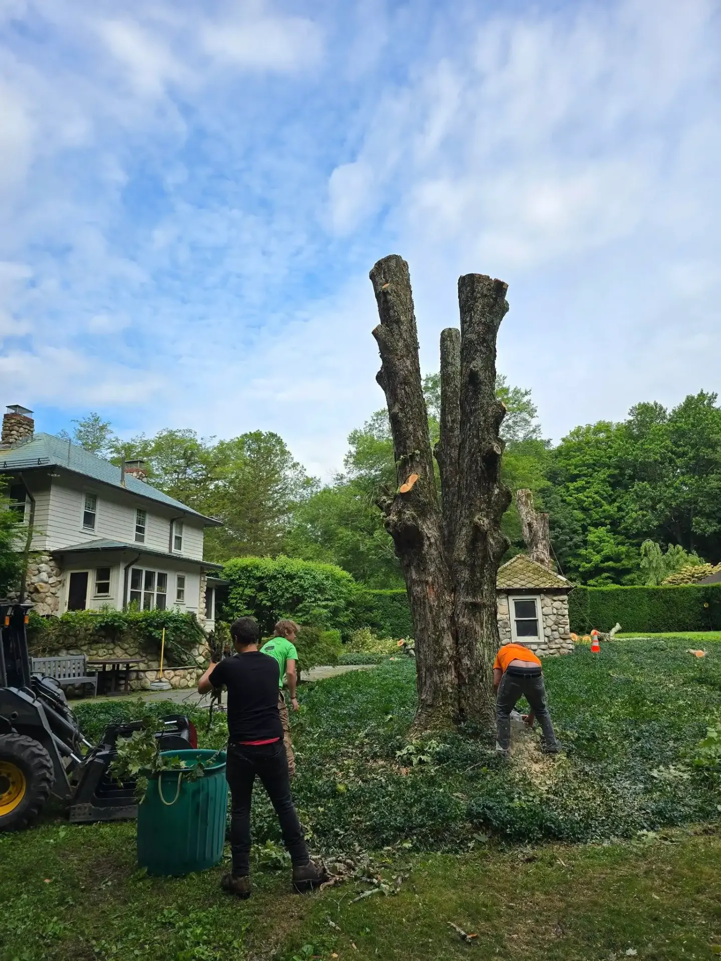 Tree trimming and removal project in Kingston NY