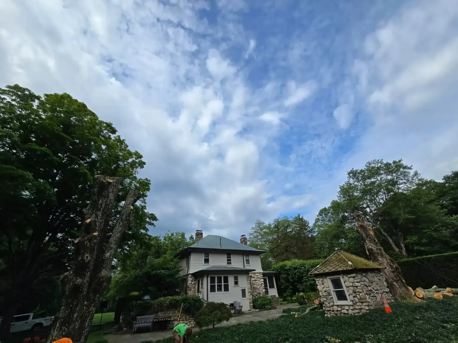 Tree Trimming & Pruning in Ulster County NY